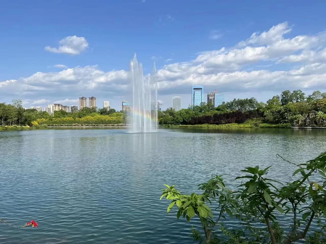 大成都之美1