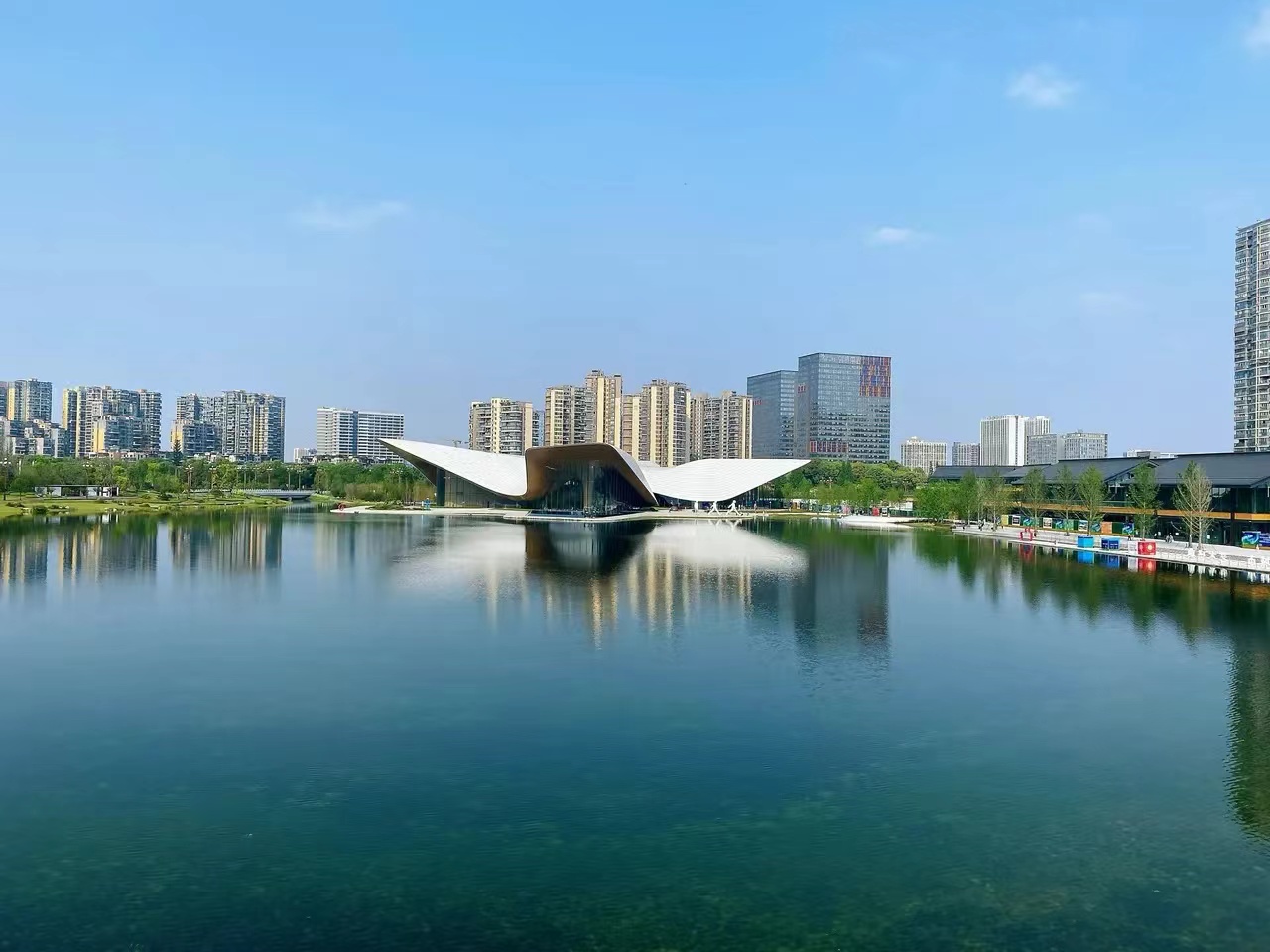 大成都之美6